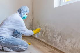 Best Commercial Mold Inspection  in Guntown, MS