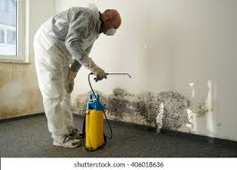 Best Commercial Mold Inspection  in Guntown, MS